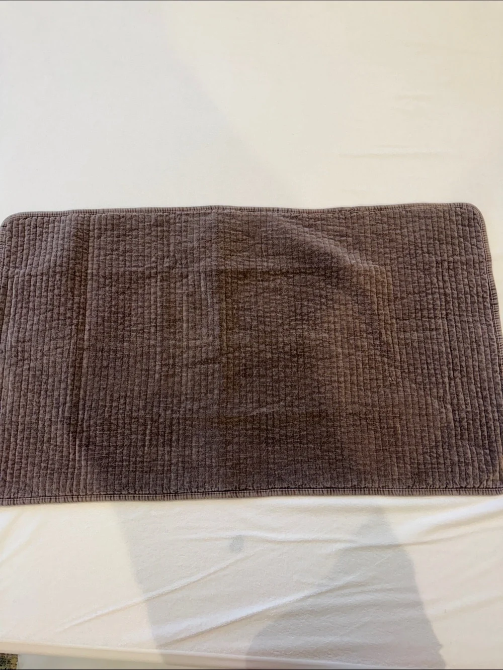 West Elm King Mauve Velvet Shams NWOT
